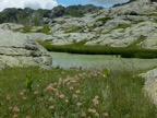 DSCF4528.JPG