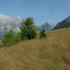 6CAD96CE-7281-4F6B-B8C8-091285B795F5_1_105_c.jpeg