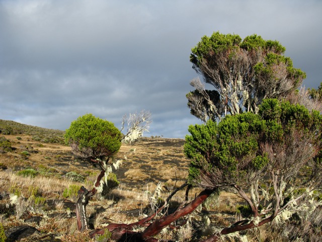La Roche Écrite