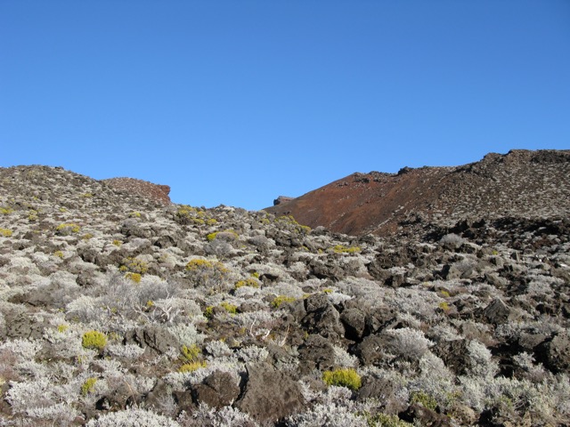Le Piton des Neiges
