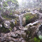 IMG_0756.JPG