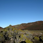 IMG_0938.JPG