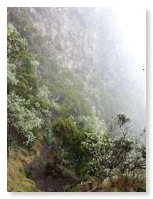 Sentier de la Caverne Dufour