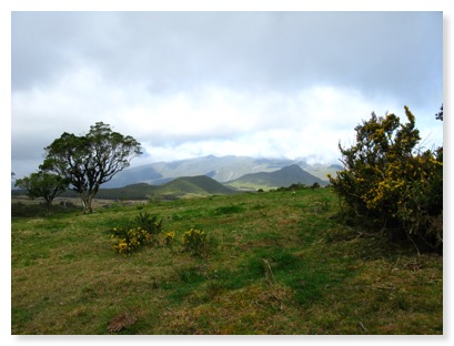 Plaine des Cafres