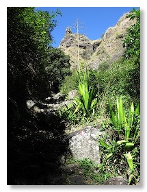 Ravine des Orangers