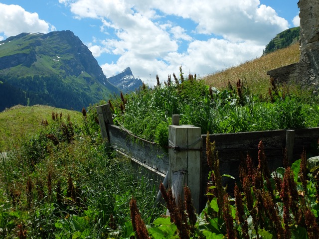  Splügen _ Guggernull et Einshorn