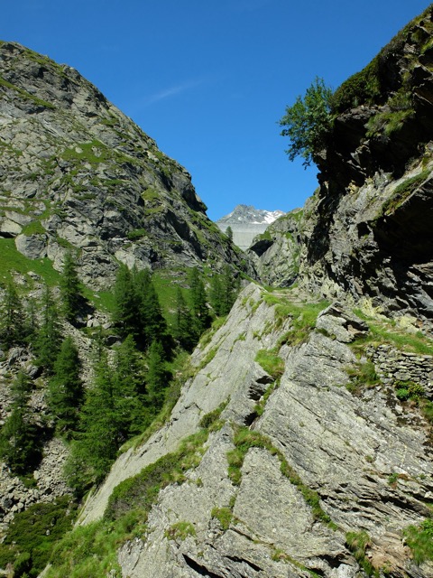 Val del Cardinello