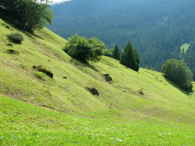Tinizong - Mulegn