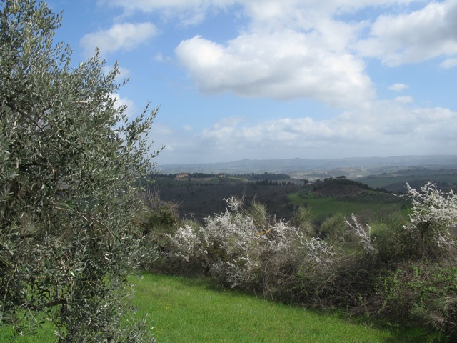 Près de Pancole