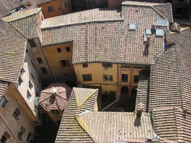 Siena