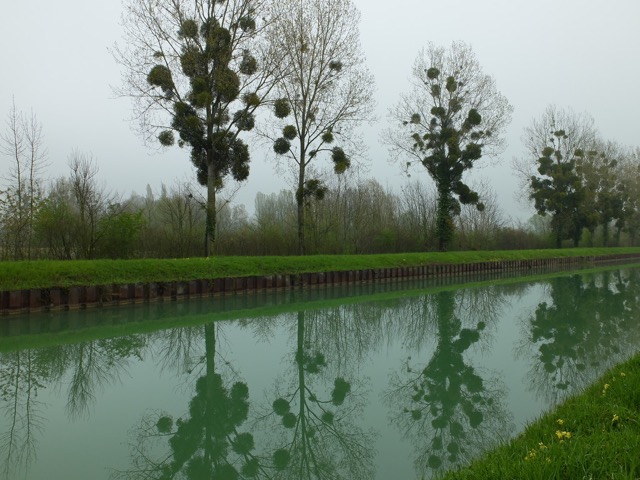 Canal lat&eacute;ral de la Marne