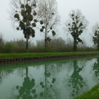 6E868152-279E-46DF-B625-CA0320959499_1_105_c.jpeg