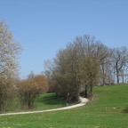 IMG_1166.JPG
