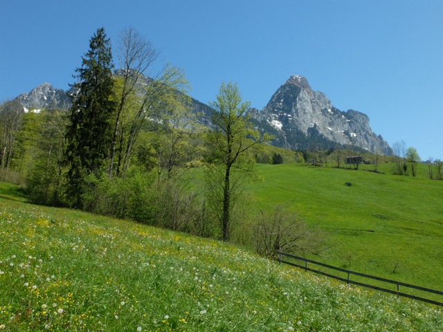 Schwyz