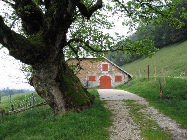 La Languetine