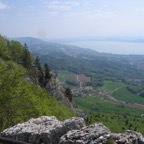 IMG_1837.jpeg