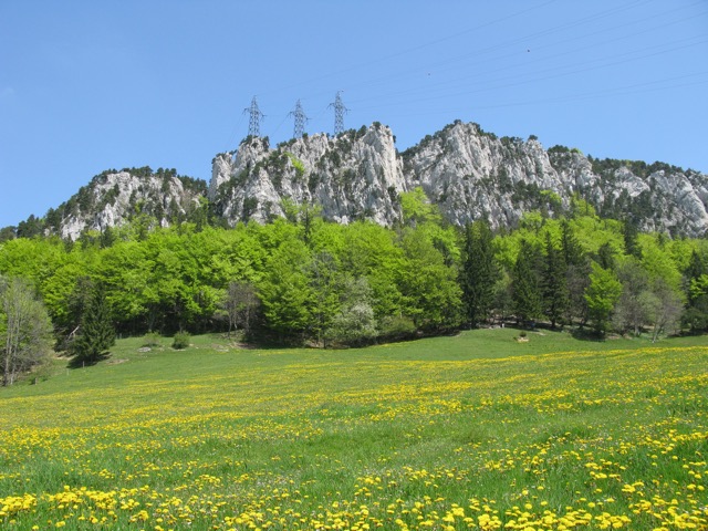 Rüttelhorn