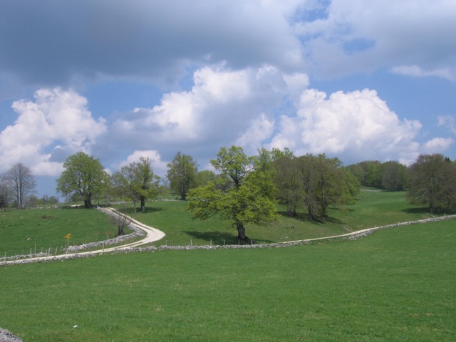 Grand C&oelig;urie