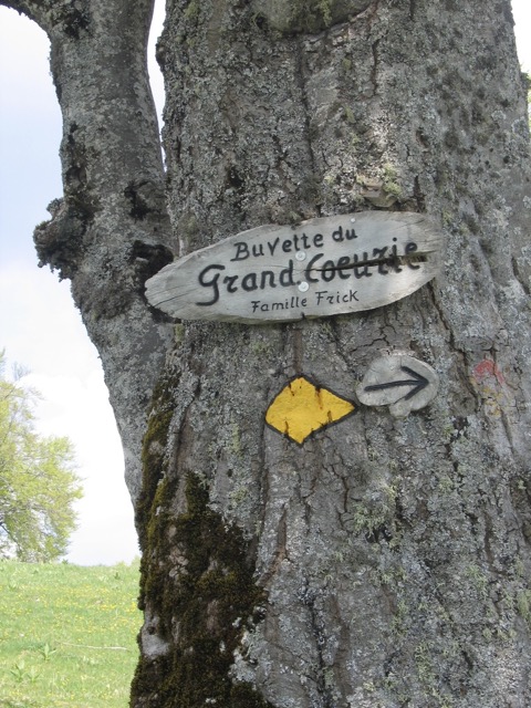 Grand C&oelig;urie