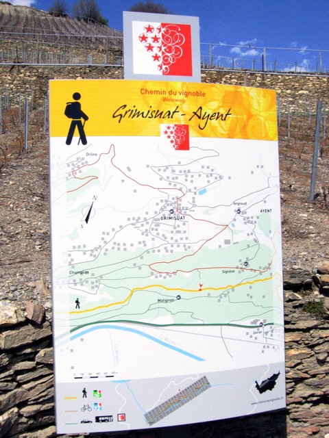 Le chemin des vignes