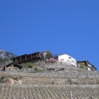 IMG_0838.jpeg