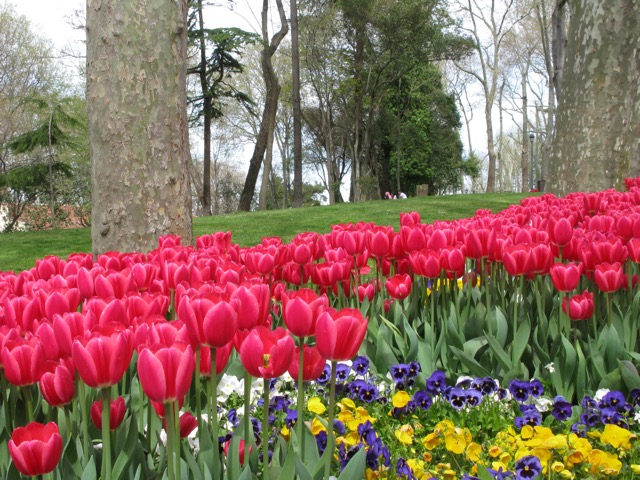 Gülhane parkı
