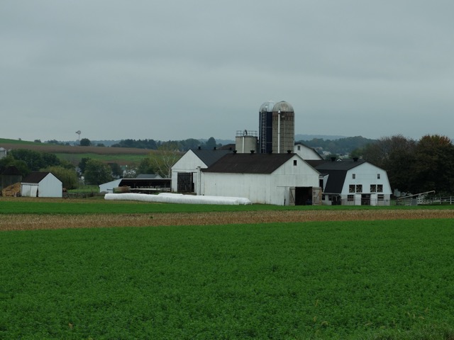 Lancaster County – ferme amish