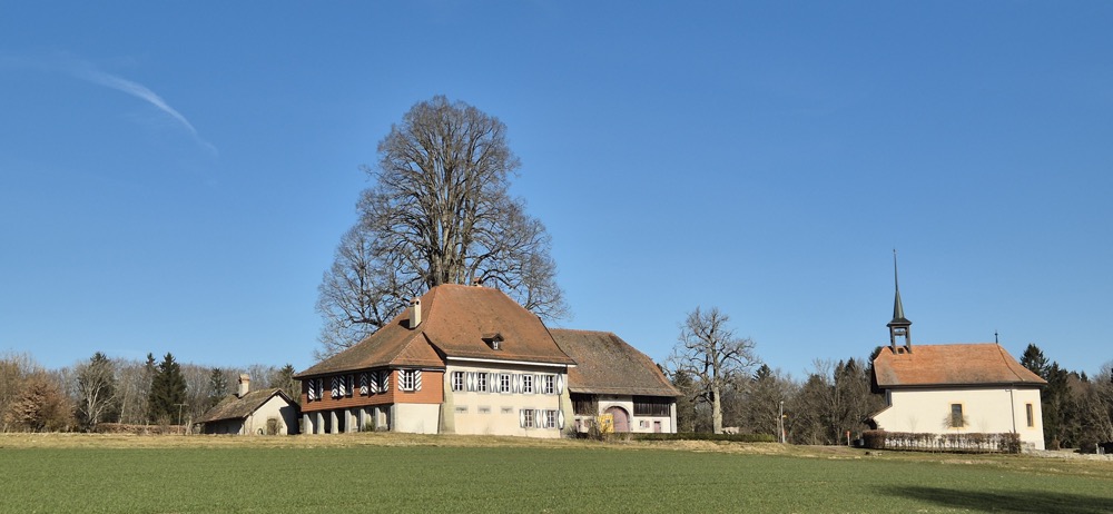 blogEntryTopper