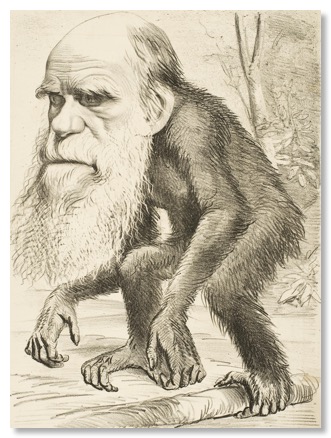 Charles Darwin singe (1871)