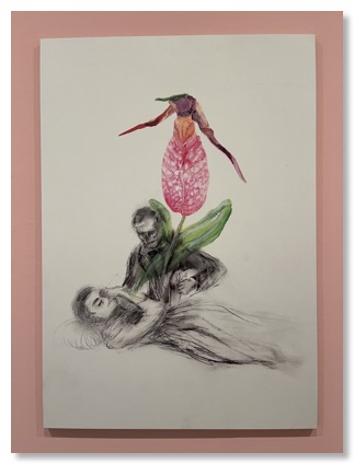 hypnoflower Oursler
