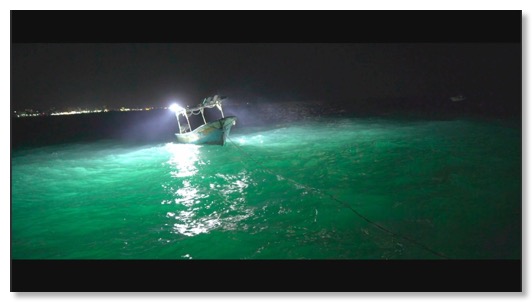 Apollon Gaza night boat